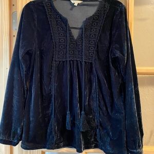 Velvet blouse